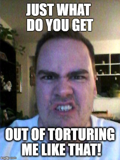 Grrr | JUST WHAT DO YOU GET OUT OF TORTURING ME LIKE THAT! | image tagged in grrr | made w/ Imgflip meme maker