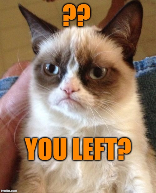 Grumpy Cat Meme | ?? YOU LEFT? | image tagged in memes,grumpy cat | made w/ Imgflip meme maker