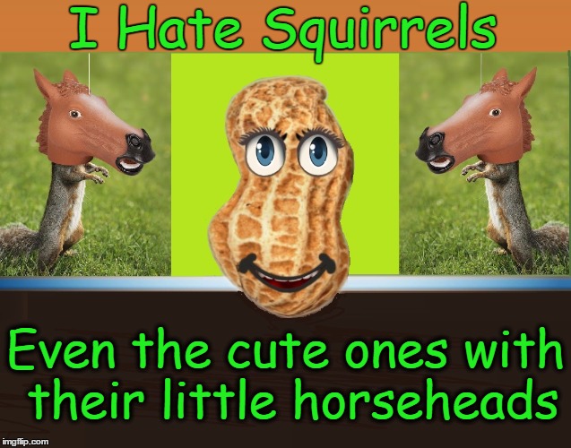 An Honest Peanut —with blue eyes... and talks | I Hate Squirrels; Even the cute ones with their little horseheads | image tagged in vince vance,squirrels,horseheads,talking peanut | made w/ Imgflip meme maker
