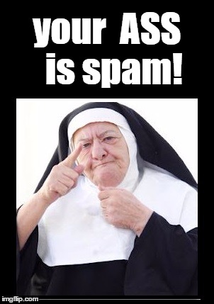 nun | your  ASS  is spam! | image tagged in nun | made w/ Imgflip meme maker