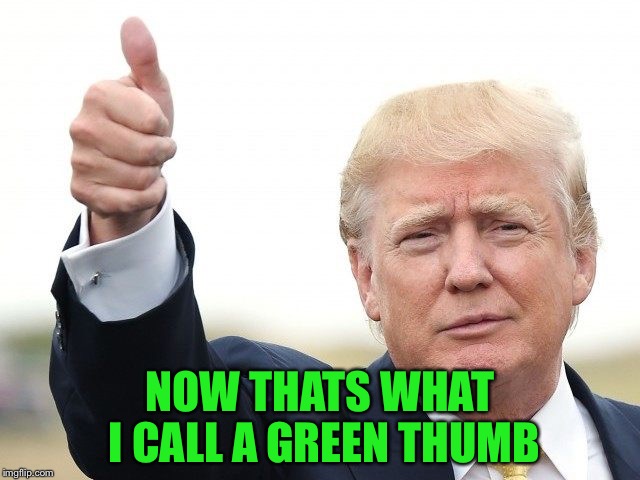 NOW THATS WHAT I CALL A GREEN THUMB | image tagged in trump thumbs up | made w/ Imgflip meme maker