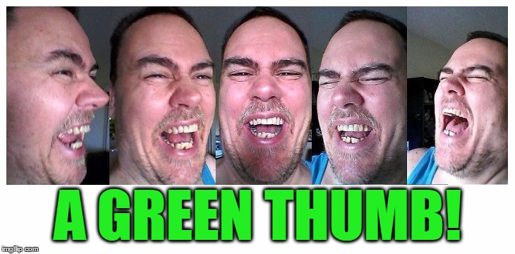 LOL | A GREEN THUMB! | image tagged in lol | made w/ Imgflip meme maker