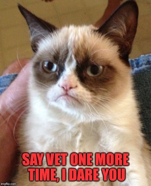 Grumpy Cat Meme | SAY VET ONE MORE TIME, I DARE YOU | image tagged in memes,grumpy cat | made w/ Imgflip meme maker