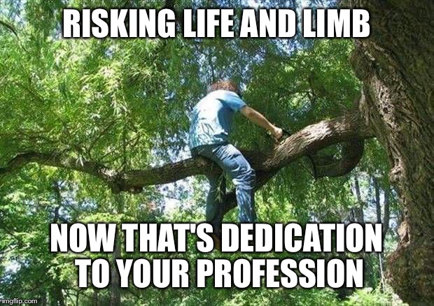 tree cutter | RISKING LIFE AND LIMB; NOW THAT'S DEDICATION TO YOUR PROFESSION | image tagged in tree cutter | made w/ Imgflip meme maker