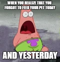 Suprised Patrick | WHEN YOU REALIZE THAT YOU FORGOT TO FEED YOUR PET TODAY; AND YESTERDAY | image tagged in suprised patrick | made w/ Imgflip meme maker