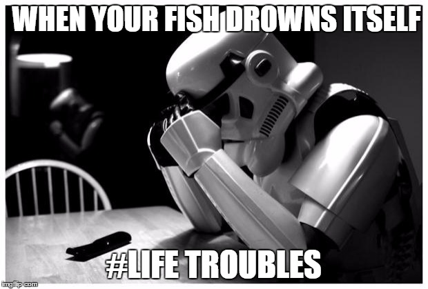 Sad Storm Trooper | WHEN YOUR FISH DROWNS ITSELF; #LIFE TROUBLES | image tagged in sad storm trooper | made w/ Imgflip meme maker