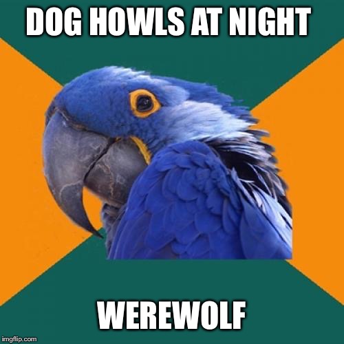 Paranoid Parrot | DOG HOWLS AT NIGHT; WEREWOLF | image tagged in memes,paranoid parrot | made w/ Imgflip meme maker