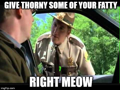 super troopers | GIVE THORNY SOME OF YOUR FATTY; RIGHT MEOW | image tagged in super troopers | made w/ Imgflip meme maker