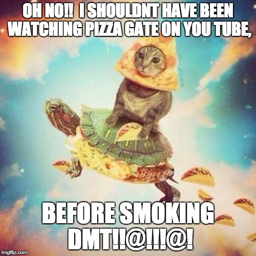 Space Pizza Cat Turtle Tacos | OH NO!!  I SHOULDNT HAVE BEEN WATCHING PIZZA GATE ON YOU TUBE, BEFORE SMOKING DMT!!@!!!@! | image tagged in space pizza cat turtle tacos | made w/ Imgflip meme maker
