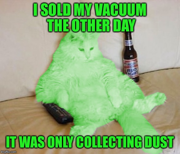 RayCat - unplugged | I SOLD MY VACUUM THE OTHER DAY; IT WAS ONLY COLLECTING DUST | image tagged in raycat chillin',dashhopes,memes | made w/ Imgflip meme maker