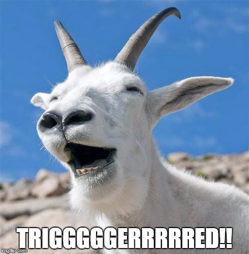 Laughing Goat Meme | TRIGGGGGERRRRRED!! | image tagged in memes,laughing goat | made w/ Imgflip meme maker
