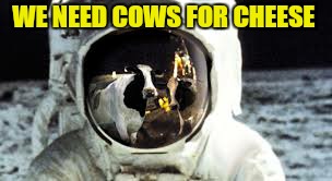 WE NEED COWS FOR CHEESE | made w/ Imgflip meme maker