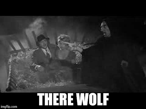 There wolf | THERE WOLF | image tagged in there wolf | made w/ Imgflip meme maker