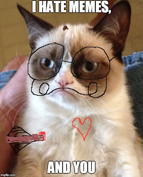 Grumpy Cat Meme | I HATE MEMES, AND YOU | image tagged in memes,grumpy cat,scumbag | made w/ Imgflip meme maker