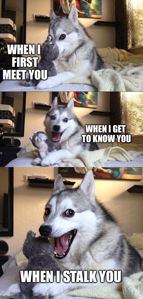 Bad Pun Dog | WHEN I FIRST MEET YOU; WHEN I GET TO KNOW YOU; WHEN I STALK YOU | image tagged in memes,bad pun dog | made w/ Imgflip meme maker
