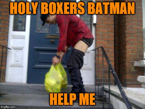 HOLY BOXERS BATMAN HELP ME | made w/ Imgflip meme maker