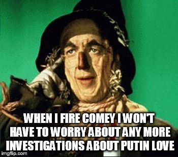 so I says to myself |  WHEN I FIRE COMEY I WON'T HAVE TO WORRY ABOUT ANY MORE INVESTIGATIONS ABOUT PUTIN LOVE | image tagged in scarecrow,dump trump,impeach trump | made w/ Imgflip meme maker