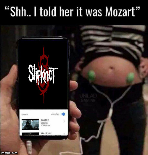 Slipknot | image tagged in slipknot,meme | made w/ Imgflip meme maker