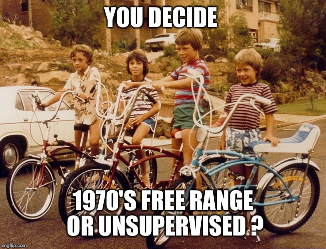 70s kids | YOU DECIDE; 1970'S FREE RANGE OR UNSUPERVISED ? | image tagged in 70s kids | made w/ Imgflip meme maker