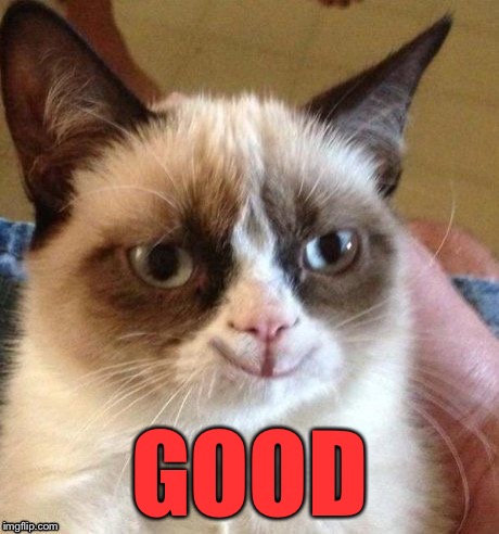 grumpy smile | GOOD | image tagged in grumpy smile | made w/ Imgflip meme maker