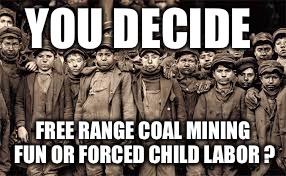 coal mine kids | YOU DECIDE; FREE RANGE COAL MINING FUN OR FORCED CHILD LABOR ? | image tagged in coal mine kids | made w/ Imgflip meme maker
