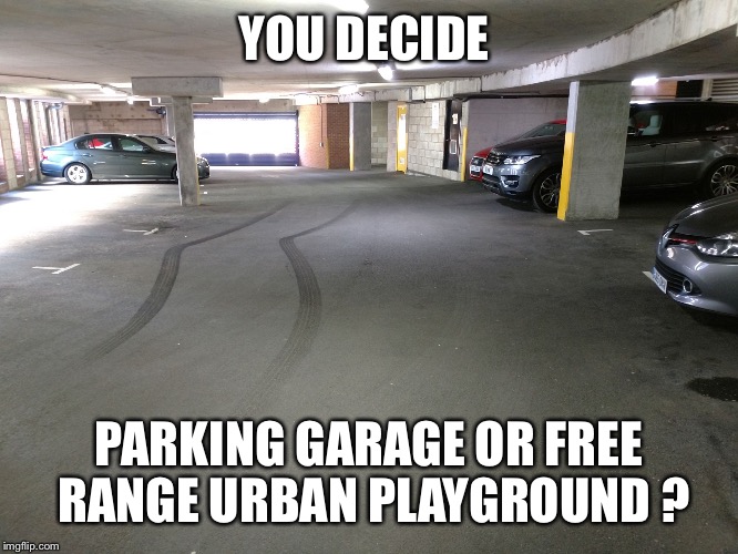 Skids | YOU DECIDE; PARKING GARAGE OR FREE RANGE URBAN PLAYGROUND ? | image tagged in skids | made w/ Imgflip meme maker