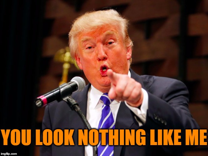 trump point | YOU LOOK NOTHING LIKE ME | image tagged in trump point | made w/ Imgflip meme maker