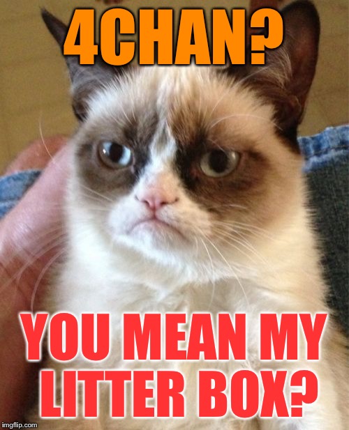 Grumpy Cat Meme | 4CHAN? YOU MEAN MY LITTER BOX? | image tagged in memes,grumpy cat | made w/ Imgflip meme maker