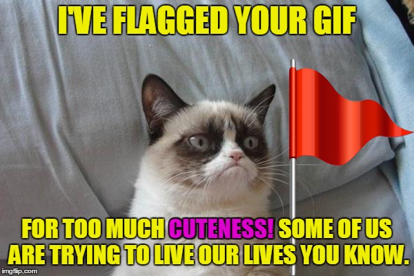 I'VE FLAGGED YOUR GIF FOR TOO MUCH CUTENESS! SOME OF US ARE TRYING TO LIVE OUR LIVES YOU KNOW. CUTENESS! | made w/ Imgflip meme maker