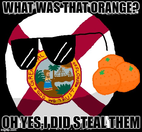 Oranges | WHAT WAS THAT ORANGE? OH YES,I DID STEAL THEM | image tagged in florida | made w/ Imgflip meme maker