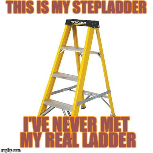 THIS IS MY STEPLADDER; I'VE NEVER MET MY REAL LADDER | image tagged in stepladder | made w/ Imgflip meme maker