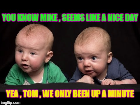 talking babys | YOU KNOW MIKE , SEEMS LIKE A NICE DAY; YEA , TOM , WE ONLY BEEN UP A MINUTE | image tagged in talking babys | made w/ Imgflip meme maker