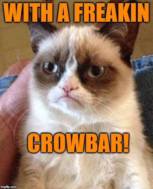 Grumpy Cat Meme | WITH A FREAKIN CROWBAR! | image tagged in memes,grumpy cat | made w/ Imgflip meme maker