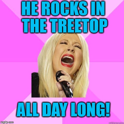 HE ROCKS IN THE TREETOP ALL DAY LONG! | image tagged in karaoke | made w/ Imgflip meme maker