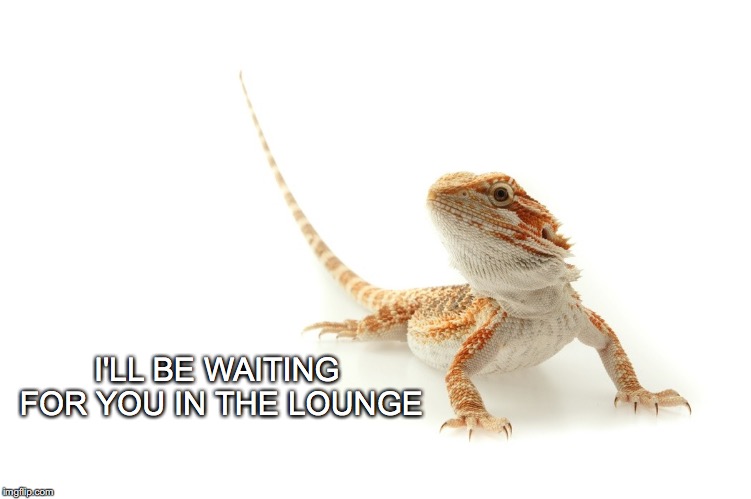 Every girl's crazy about: | I'LL BE WAITING FOR YOU IN THE LOUNGE | image tagged in janey mack meme,flirty meme,funny,lounge lizard,i'll be waiting for you | made w/ Imgflip meme maker