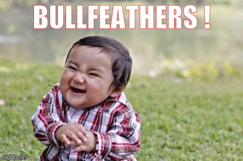 Evil Toddler Meme | BULLFEATHERS ! | image tagged in memes,evil toddler | made w/ Imgflip meme maker