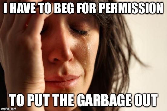 First World Problems Meme | I HAVE TO BEG FOR PERMISSION TO PUT THE GARBAGE OUT | image tagged in memes,first world problems | made w/ Imgflip meme maker