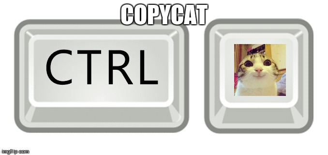 What a copycat! Not original at all! | COPYCAT | image tagged in copycat,ctrl c,cats | made w/ Imgflip meme maker