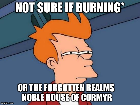 Futurama Fry Meme | NOT SURE IF BURNING* OR THE FORGOTTEN REALMS NOBLE HOUSE OF CORMYR | image tagged in memes,futurama fry | made w/ Imgflip meme maker