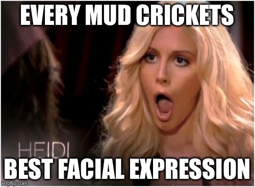 So Much Drama | EVERY MUD CRICKETS; BEST FACIAL EXPRESSION | image tagged in memes,so much drama | made w/ Imgflip meme maker