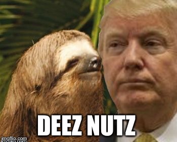 Political advice sloth | DEEZ NUTZ | image tagged in political advice sloth | made w/ Imgflip meme maker