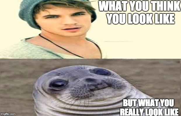 WHAT YOU THINK YOU LOOK LIKE; BUT WHAT YOU REALLY LOOK LIKE | image tagged in memes | made w/ Imgflip meme maker