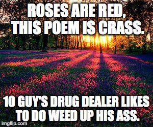 roses are red | ROSES ARE RED, THIS POEM IS CRASS. 10 GUY'S DRUG DEALER LIKES TO DO WEED UP HIS ASS. | image tagged in roses are red | made w/ Imgflip meme maker
