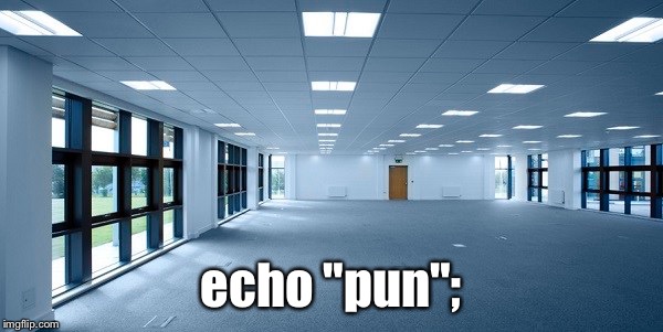 echo "pun"; | made w/ Imgflip meme maker