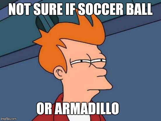 Futurama Fry Meme | NOT SURE IF SOCCER BALL OR ARMADILLO | image tagged in memes,futurama fry | made w/ Imgflip meme maker