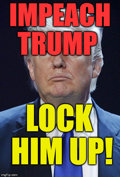 Donald Trump | IMPEACH 
TRUMP; LOCK HIM UP! | image tagged in donald trump | made w/ Imgflip meme maker
