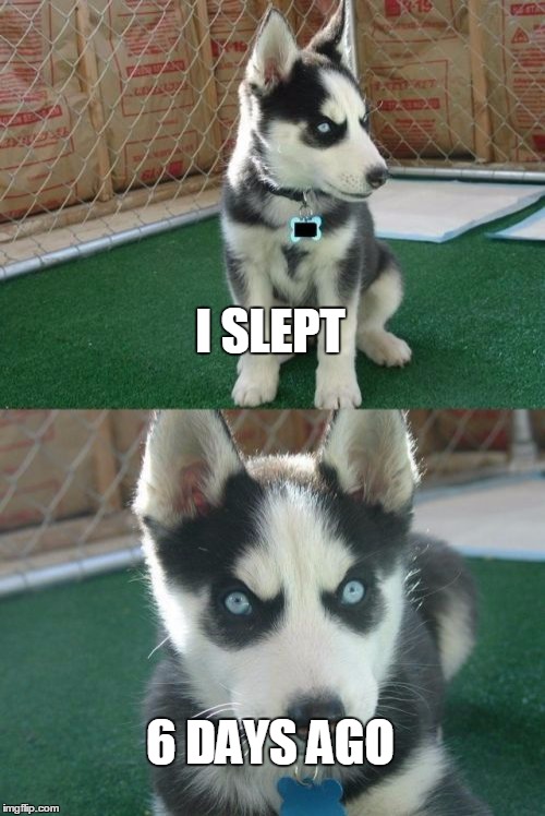 Insanity Puppy | I SLEPT; 6 DAYS AGO | image tagged in memes,insanity puppy | made w/ Imgflip meme maker