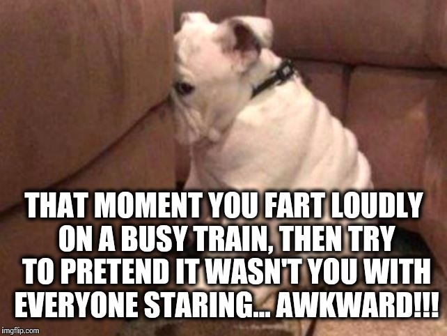 That moment you fart loudly on a busy train... | THAT MOMENT YOU FART LOUDLY ON A BUSY TRAIN, THEN TRY TO PRETEND IT WASN'T YOU WITH EVERYONE STARING... AWKWARD!!! | image tagged in guilty dog,funny memes,awkward | made w/ Imgflip meme maker