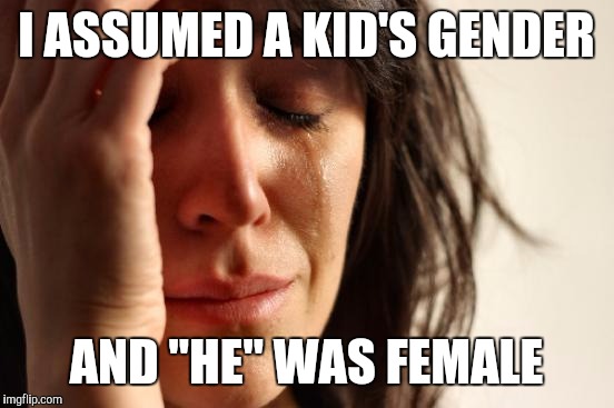 First World Problems Meme | I ASSUMED A KID'S GENDER AND "HE" WAS FEMALE | image tagged in memes,first world problems | made w/ Imgflip meme maker