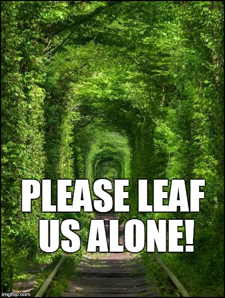 PLEASE LEAF US ALONE! | made w/ Imgflip meme maker